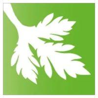 Parsley Box Group